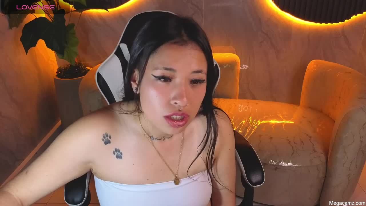 Hollypeytoon