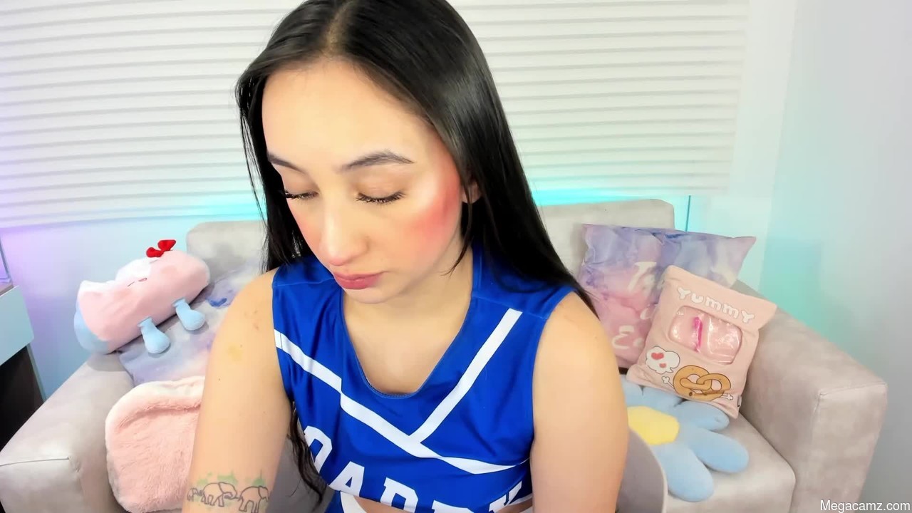 Tiny_cora