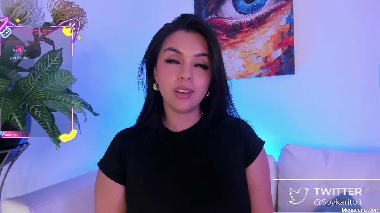 Soykarito