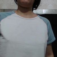 Vainilla_cam
