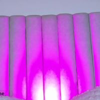 Engelstone_