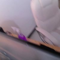 Evelyn_rose_tk