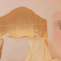 Pollygrey_