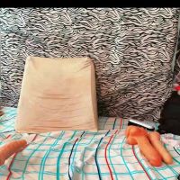 Zafira_mature