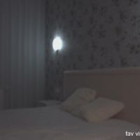 Muffin_puffin