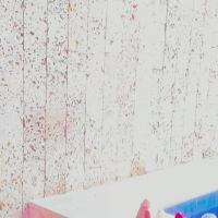 Sofi_taylor2