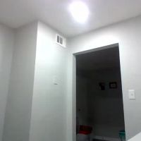 Loyalbambi
