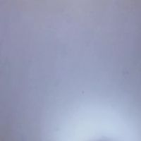 Alice_moore11