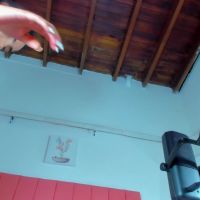 Valen_rose0