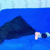 Mia_candy_0