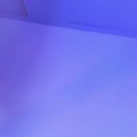 Anna_stonne__