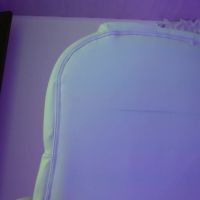 Aurora_blossom__