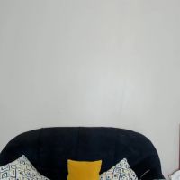 Cherry_falls