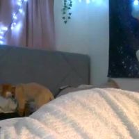 Cutiegoodcoochie