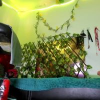 Elektra_32