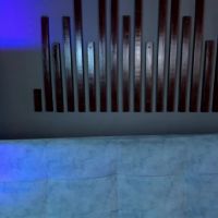 Alice_rous21