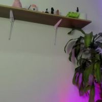 Alana_collinss