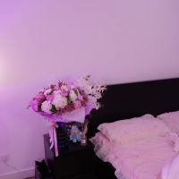 Lilly_colins