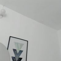 Quetzal_pamela