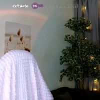 Sinty_noria
