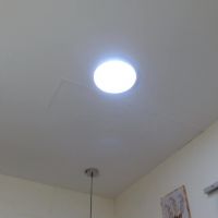 Tulunaroja