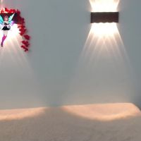 Hilaryclowerx