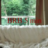 Lein_bone