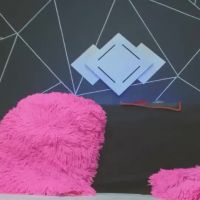 Salomeswet