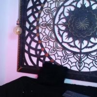 Ana_foxi