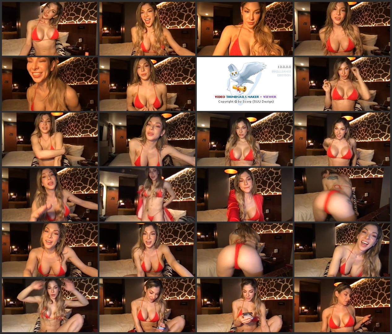 hollytreats-mfc-202302270352.mp4.jpg