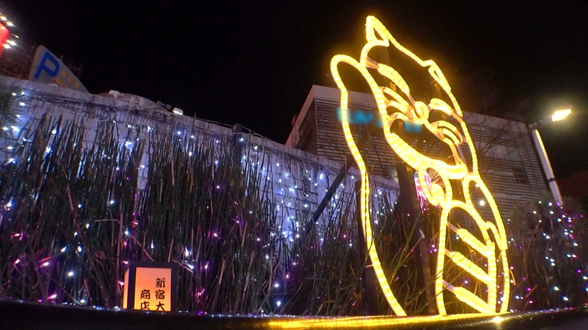 cap_e_0_200gana-2658.jpg