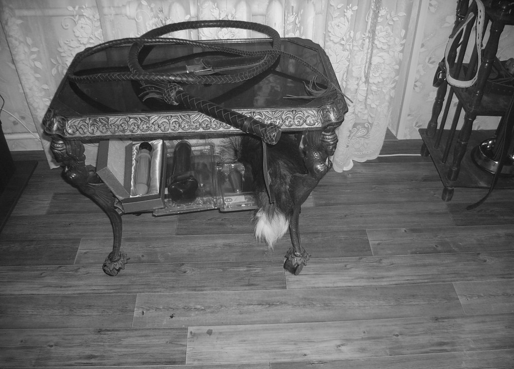 teen_photos1463-41065.jpg