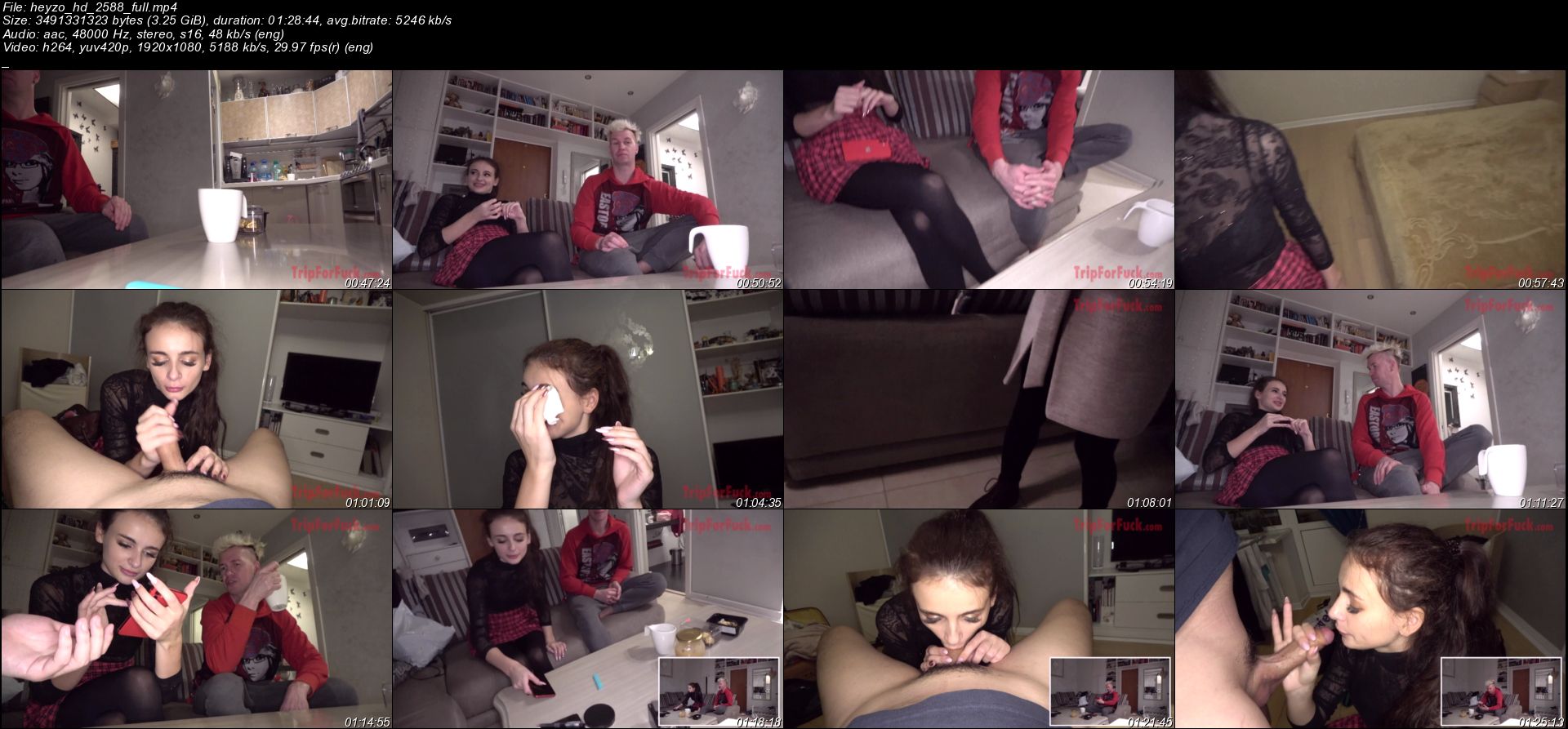 heyzo_hd_2588_full_02.jpeg