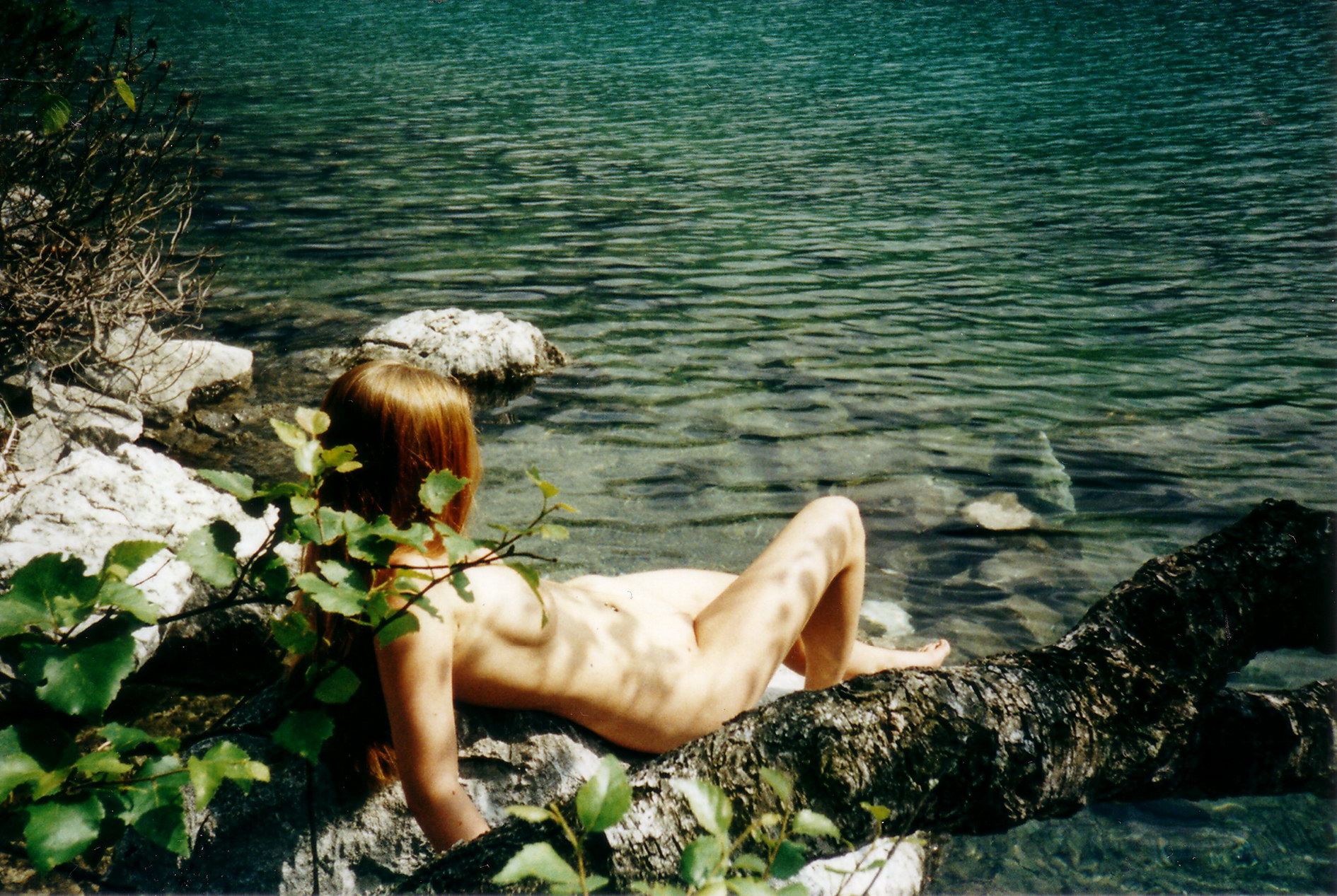 t1136_28.jpg
