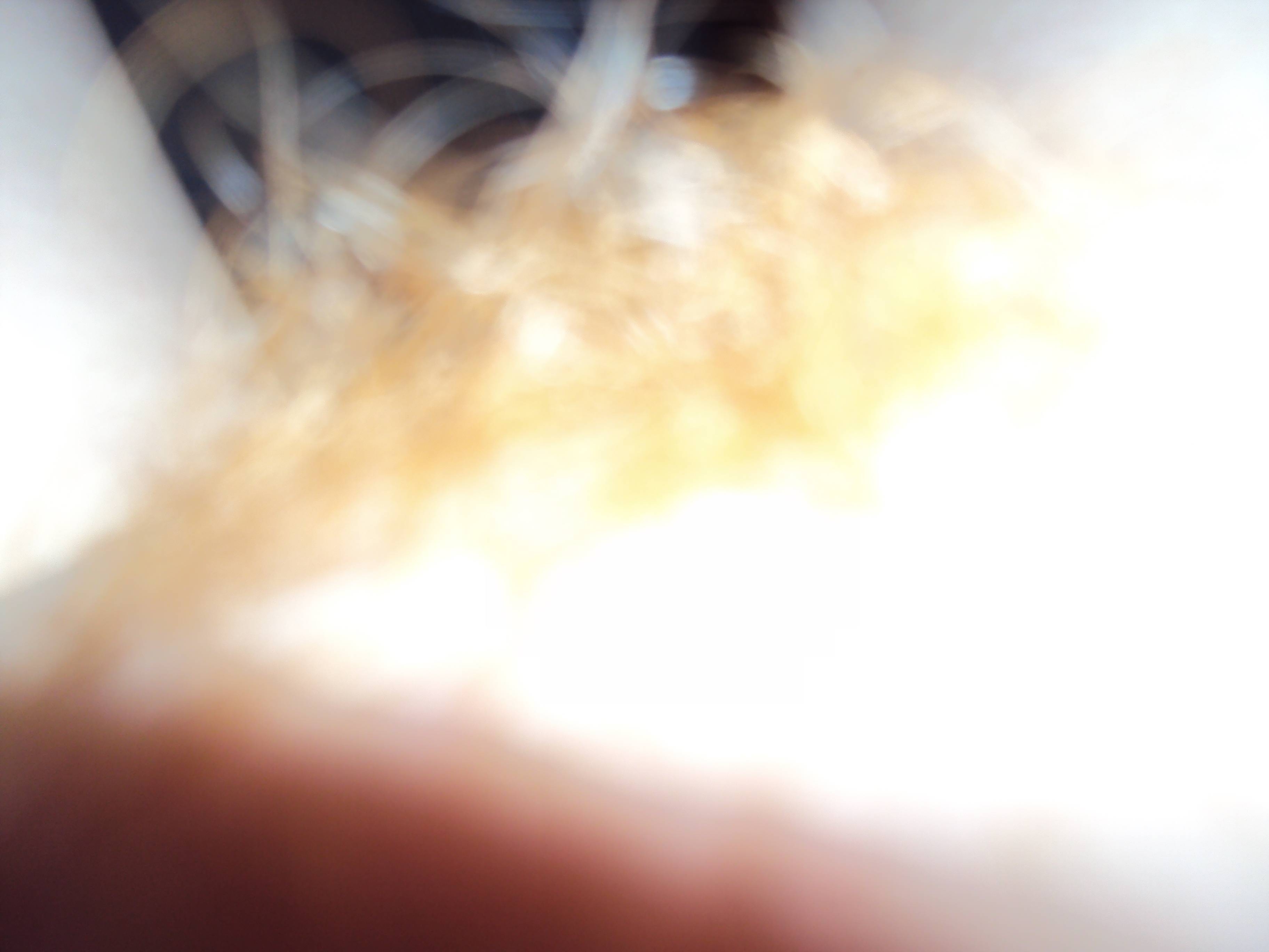 t1163_91.jpg