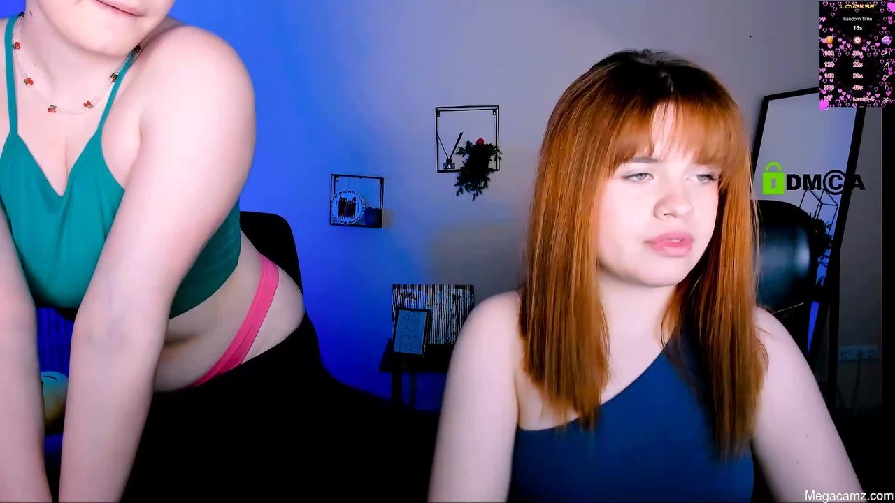 Nikol_kitt