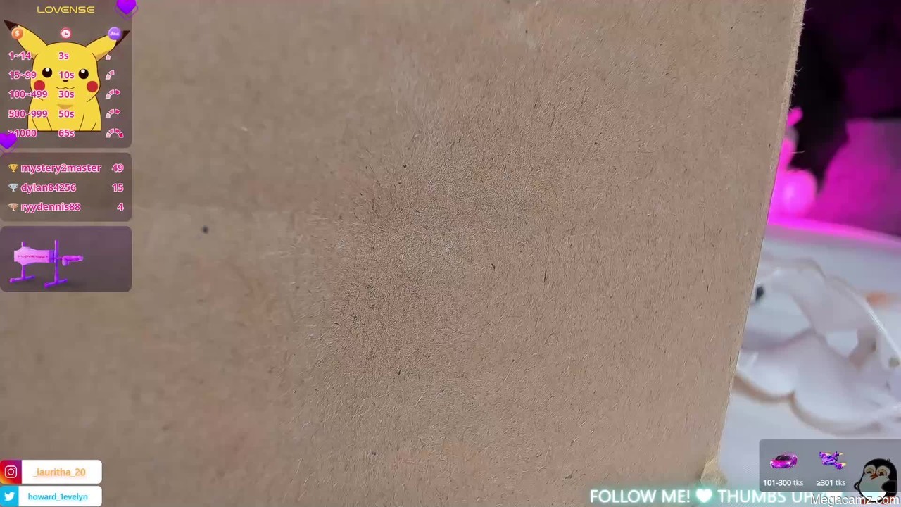 Evelynhoward23
