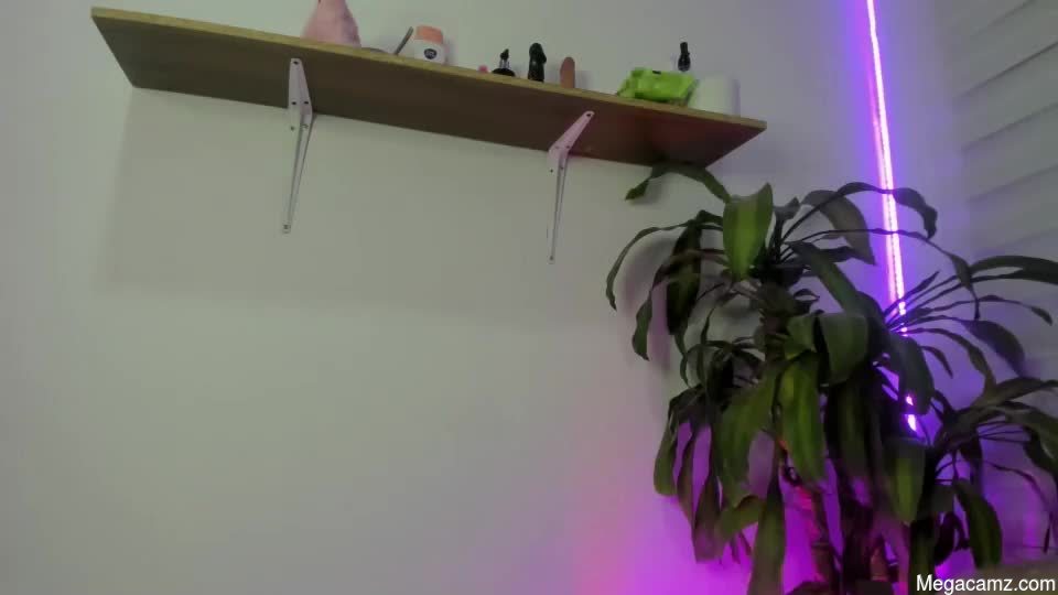 Alana_collinss