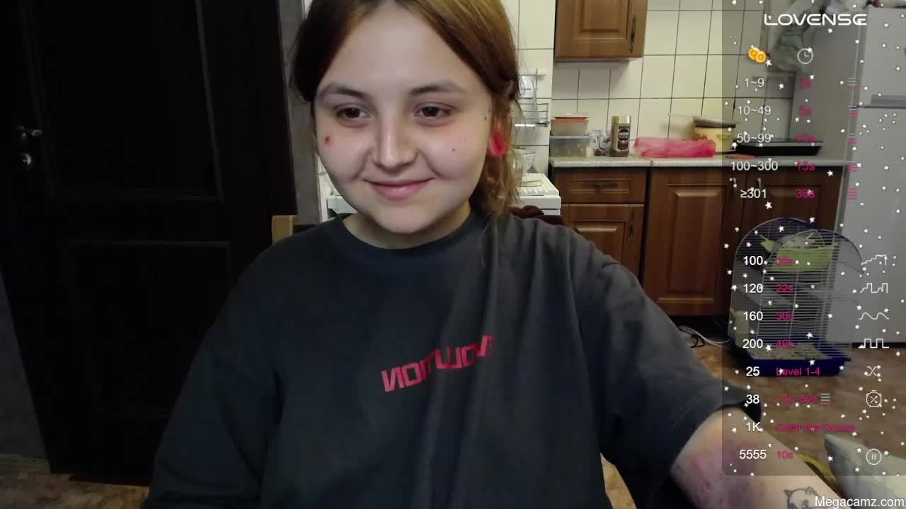 Vendymories