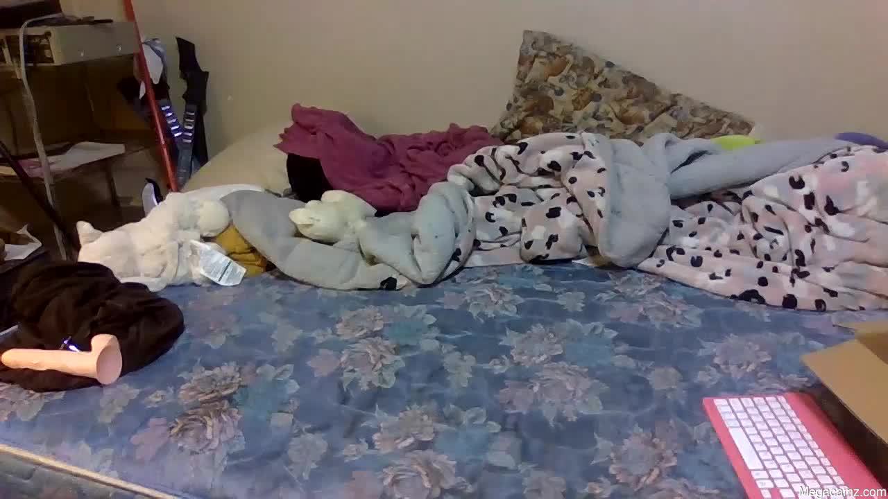 Petmykitty