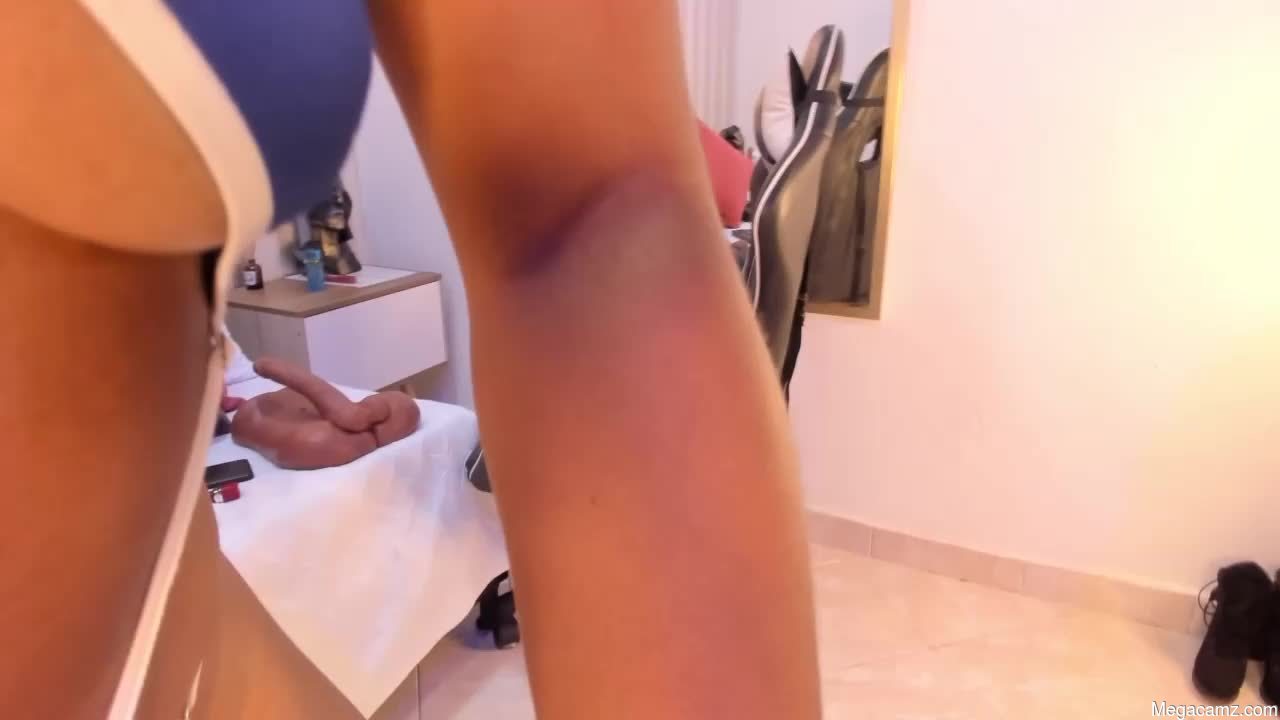 Avis_lara