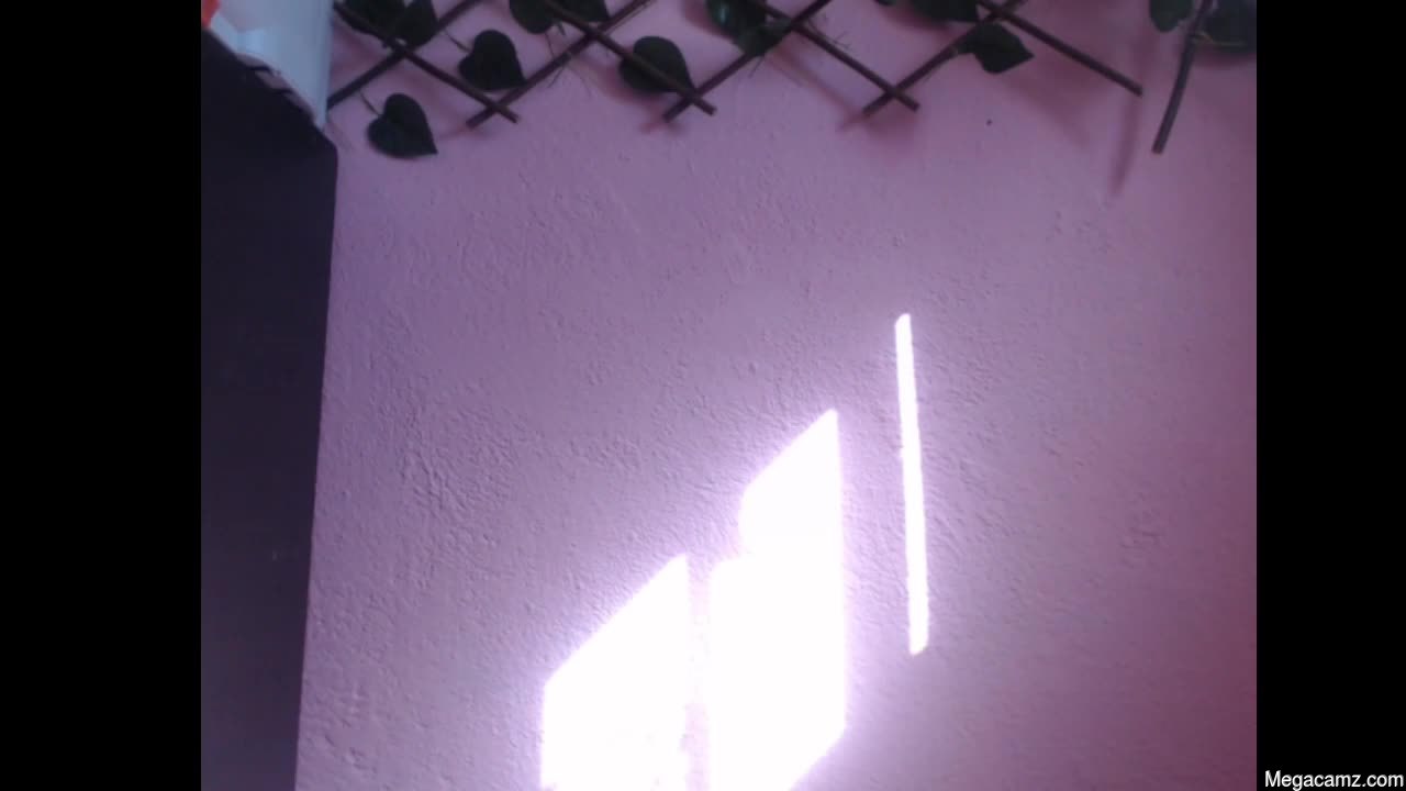 Lilpalacio