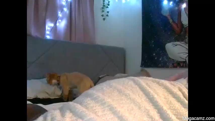 Cutiegoodcoochie